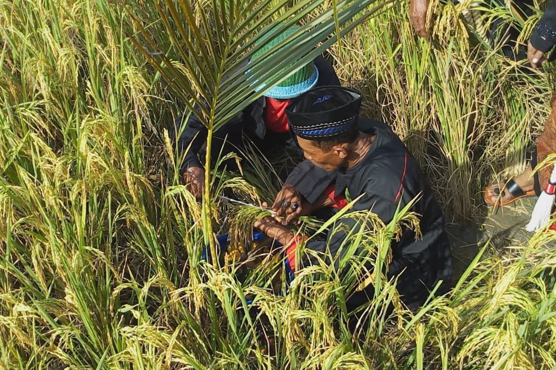 Bantu Irigasi Pertanian, 92 Titik Sumur Dalam Segera Dibangun di Ponorogo 