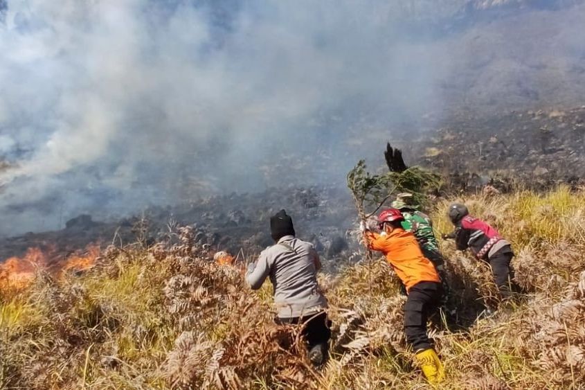 Karhutla di TNBTS Meluas hingga Probolinggo, Tiga Jalur Wisata Bromo Ditutup
