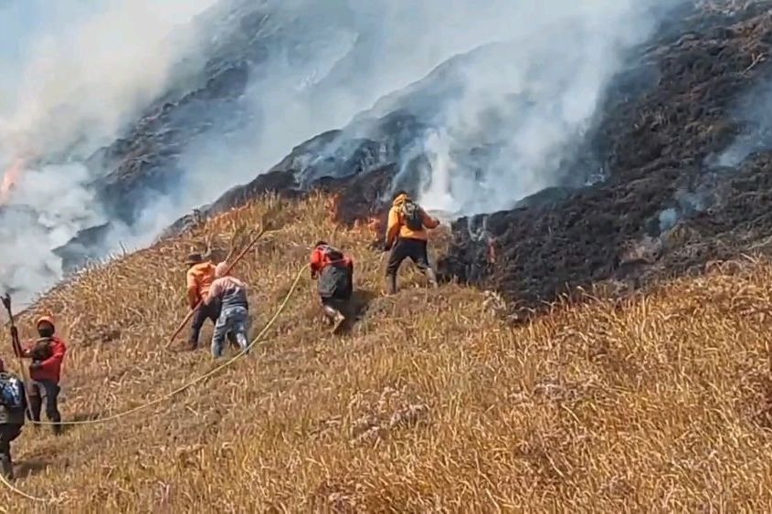 Kebakaran Hutan TNBTS Merambat ke Savana Bromo