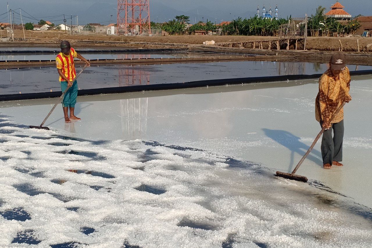 Pembangunan KEK Garam di Madura Butuh Investor