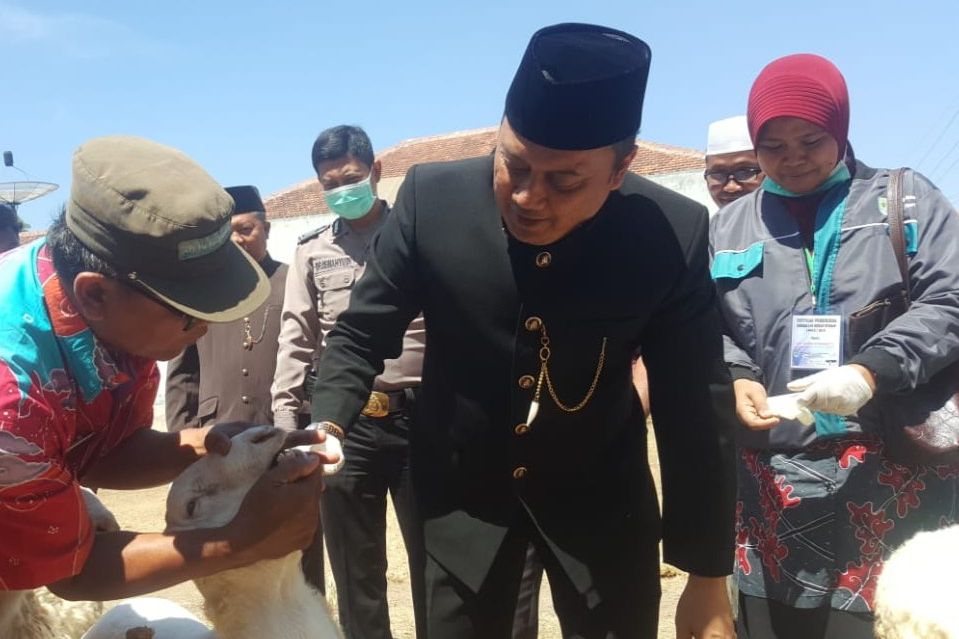 Pemkot Probolinggo Temukan Hewan Kurban tak Layak Jual