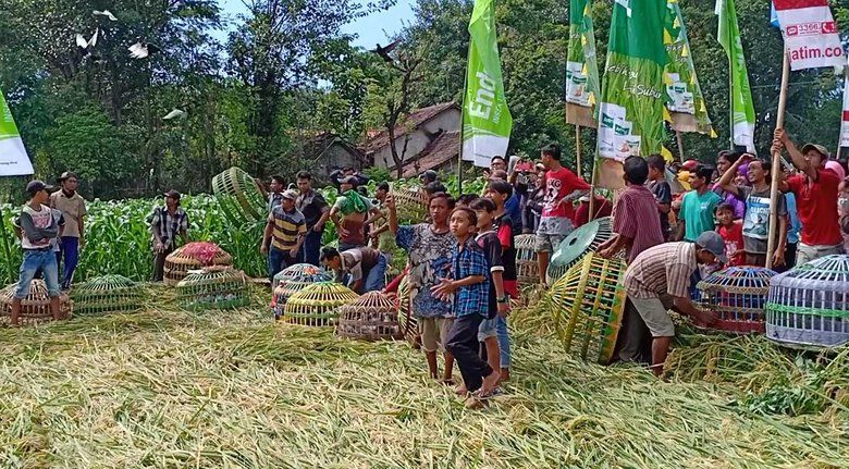 Petani Padi Kota Probolinggo Gelar &ldquo;Tradisi Totta&rsquo;an&rdquo;