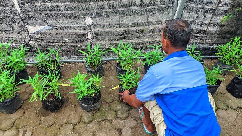 Realisasikan Ketahanan Pangan, Warga Binaan Lapas Mojokerto Diajak Tanam Sayur 