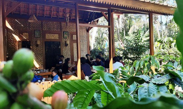 Geliat Petani Kopi Telemung Menaikkan Nilai Jual Kopinya 