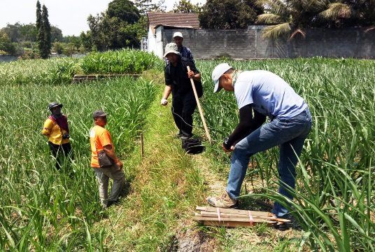 Tim BPCB Trowulan Mulai Ekskavasi Penyelamatan Awal Situs Gedog