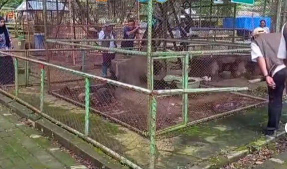 Dinas Peternakan Cek Kesehatan Hewan di Wisata Waduk Gondang Lamongan, Ini Hasilnya