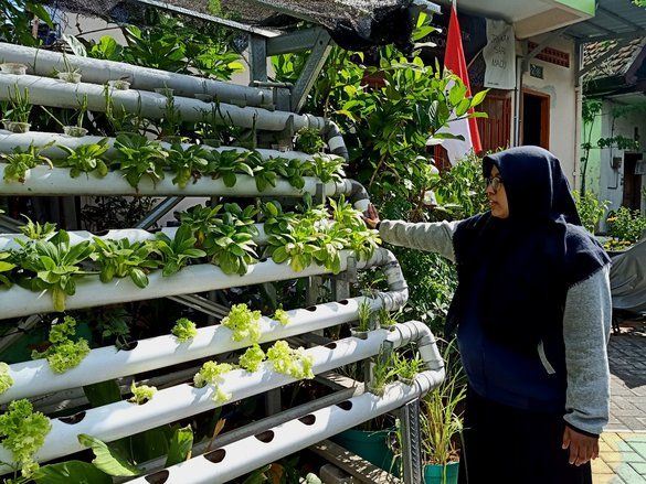 Maksimalkan Lahan, Pemkot Surabaya Dorong Warganya Lakukan&nbsp;<em>Urban Farming</em>