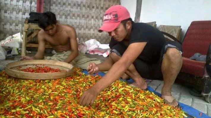 Kenaikan Harga Cabai Picu Inflasi Januari 2020
