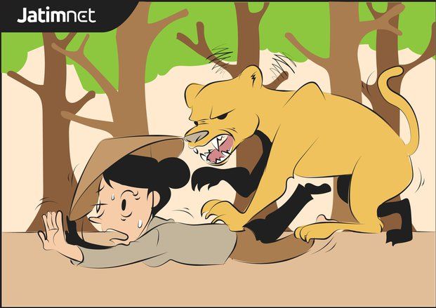 Perempuan Penyadap Karet Tewas Diterkam Harimau