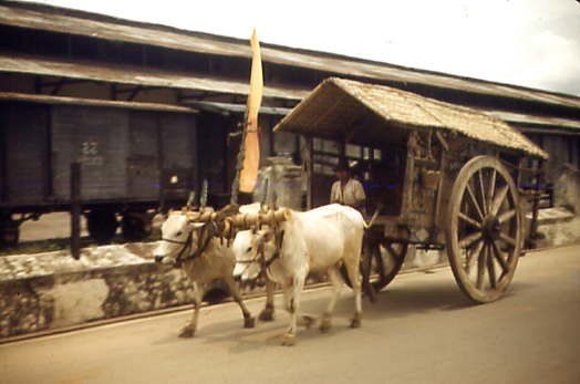 Kirab Seribu Santri Sambut Ramadan Diantar Para “Bajingan”