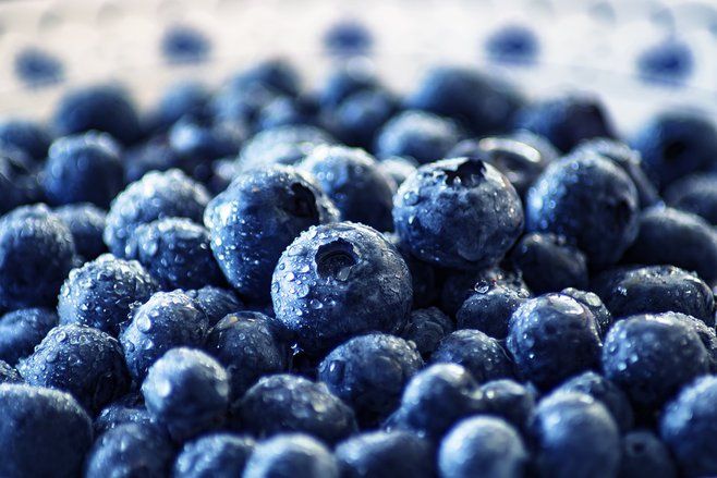 Untuk Kesehatan, Pria Harus Mengonsumsi Blueberry