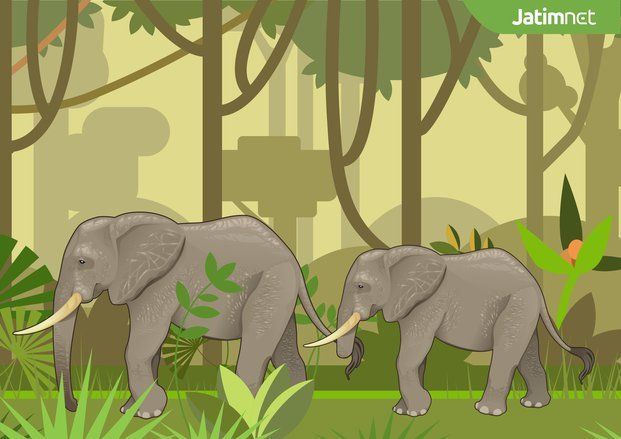 BKSDA Aceh Usir Gajah dari Pemukiman Warga