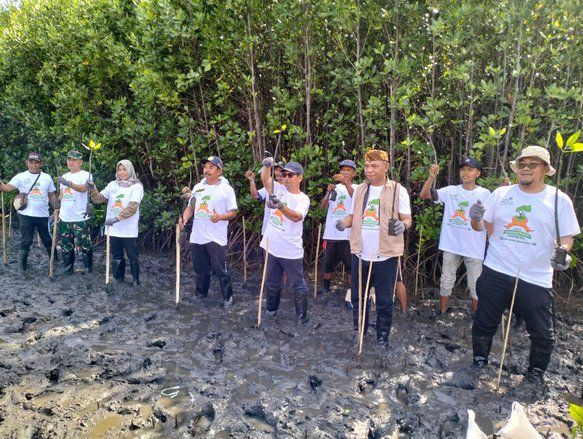 Warga dan PLN Tanam 1.000 Pohon Mangrove di Pantai Gending Probolinggo