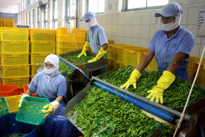 Neraca Perdagangan Jatim Defisit 3,05 M Dolar AS