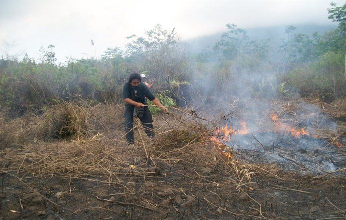 Sebanyak 5.929 Personel Gabungan Atasi Karhutla di Lima Provinsi