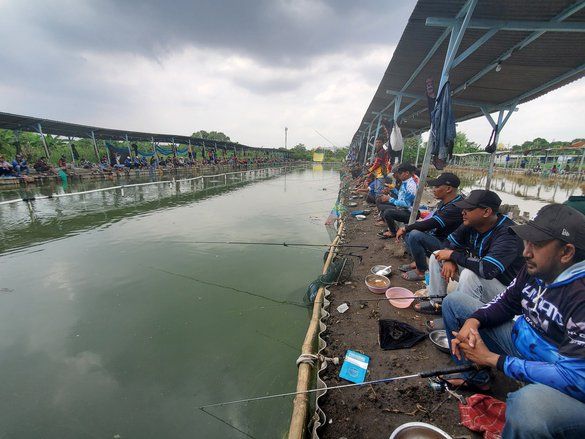 Didukung Jatimnet Group, Ratusan Pemancing Adu Skill di Lomba Mancing Bareng Mbah Gaul