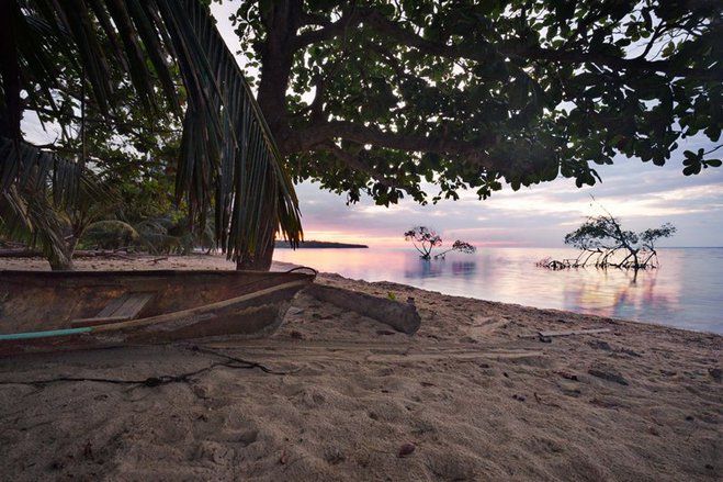Getol Konservasi, Kini Terdapat 2.300 Hektare Mangrove di Surabaya Timur