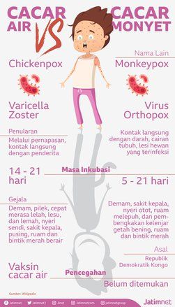 Ini Beda Cacar Air dan Monyet