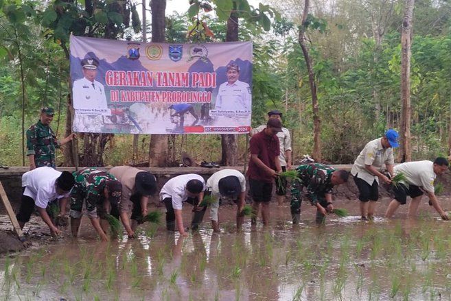 Gertam PAT, Penambahan Areal Tanam Padi di Kabupaten Probolinggo Melebihi Target