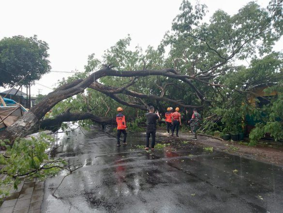 BMKG Banyuwangi Ingatkan Potensi Angin Kencang hingga 14 Februari, Ini Penyebabnya