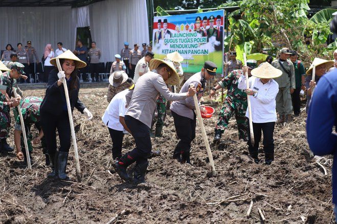 Pjs Bupati Mojokerto bersama TNI dan Polri Tanam Jagung Dukung Ketahanan Pangan