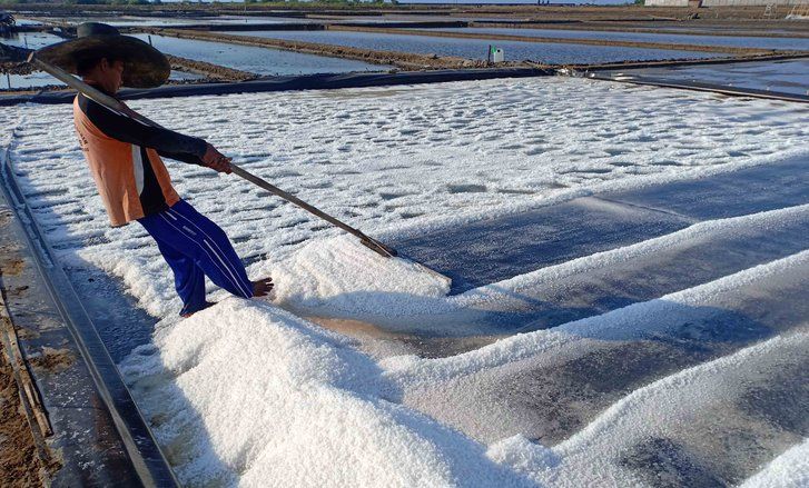 Produksi Garam Probolinggo Naik Dua Kali Lipat
