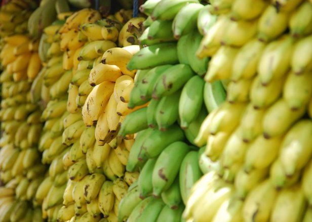Malaysia Minta Pasokan Pisang 300 Ton Sepekan