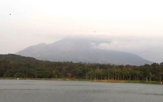 Gunung Lemongan di Lumajang Terbakar