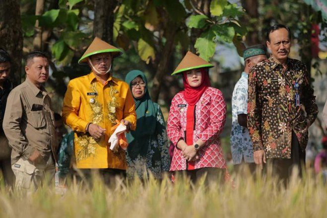 Wali Kota Madiun Himbau Petani Setempat Tanam Cabai