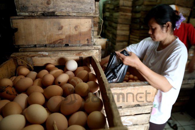 Disnak Jatim Pastikan Stok Daging dan Telur Aman