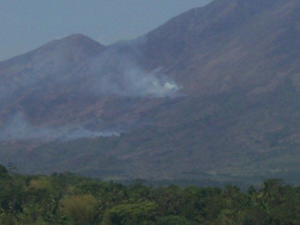40 Hektare Hutan Gunung Arjuno Terbakar