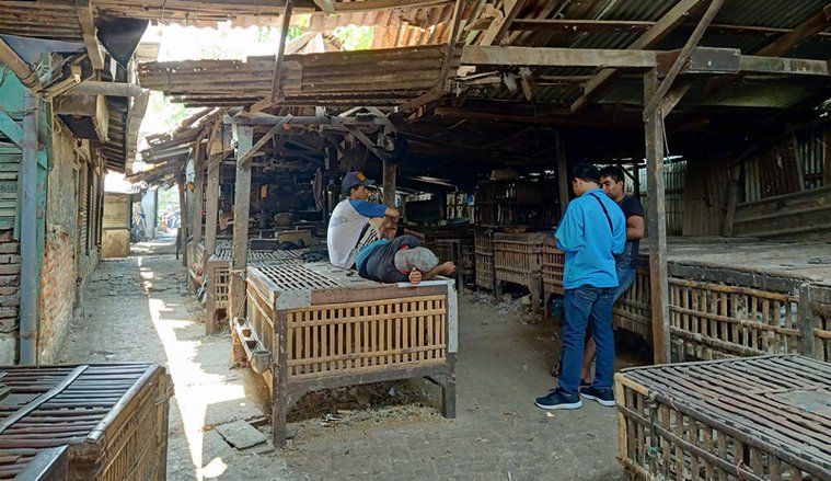 Berbau, PD Pasar Atur Pembuangan Limbah Pedagang Unggas Keputran