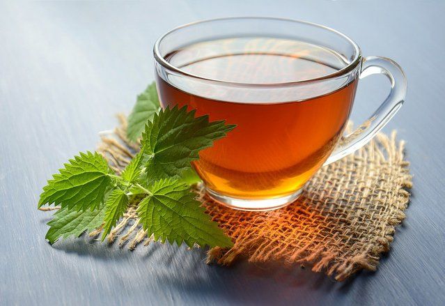 Minuman Teh Meningkatkan Kinerja Seluruh Organ Tubuh