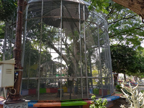Sempat Bolong dan Lepas, DLH Segera Isi Aviari di Alun-Alun Lamongan dengan Burung