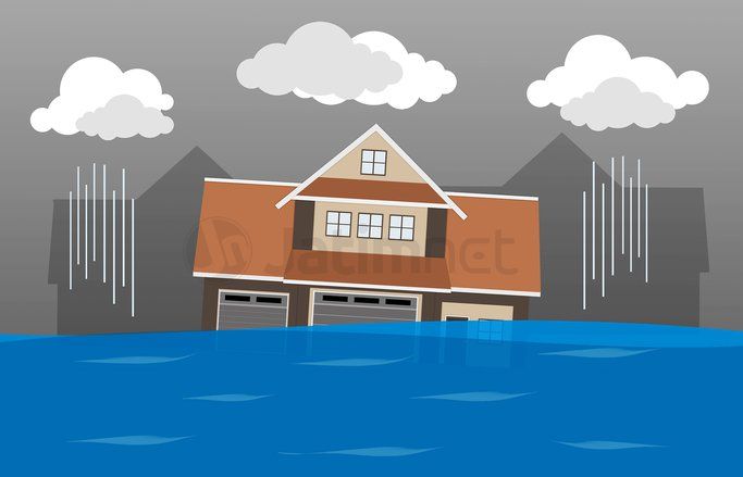 Anggota Seventeen Menjadi Korban Tsunami