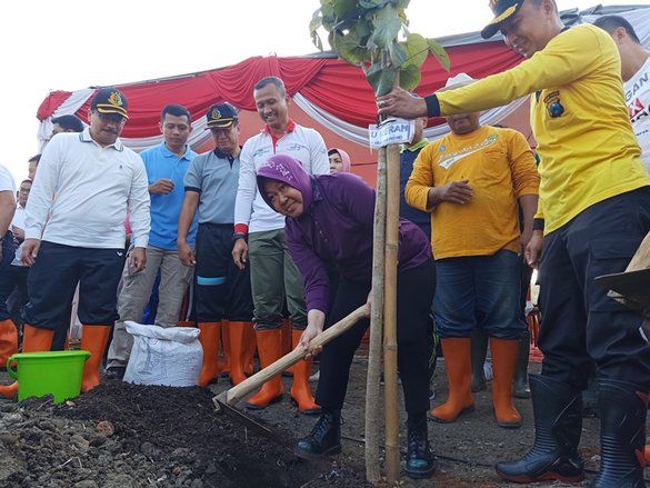 Risma Sebut Kebun Raya Mangrove Gunung Anyar Pertama di Dunia