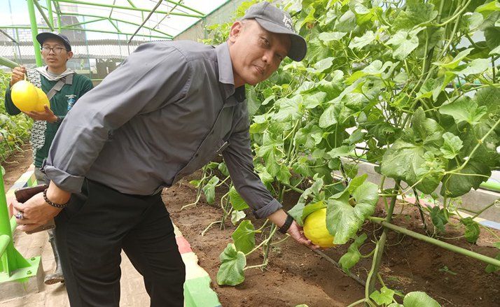 Pemkot Bakal Tanam Buah Langka di Mini Agrowisata Surabaya