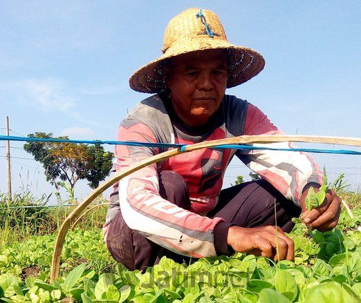 Pemerintahan Terpilih Didesak Lebih Kuat Kendalikan Tembakau