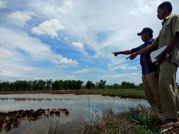 Kubangan Air Asin Bercampur Minyak dan Lumpur di Mojokerto Tak Terurus