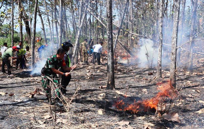 Enam Korporasi Ditetapkan Sebagai Tersangka Karhutla