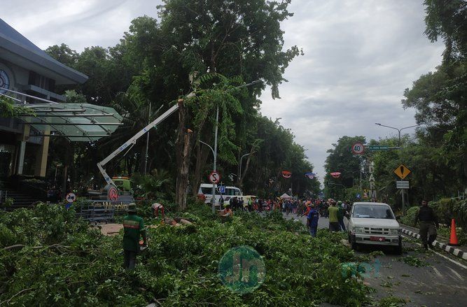 DKRTH Rapikan Ranting Pohon, Car Free Day Tetap Jalan