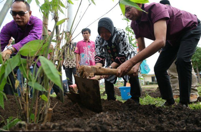 Penanaman 400 Bambu Bali Diharapkan Muncul Sumber Air Baru