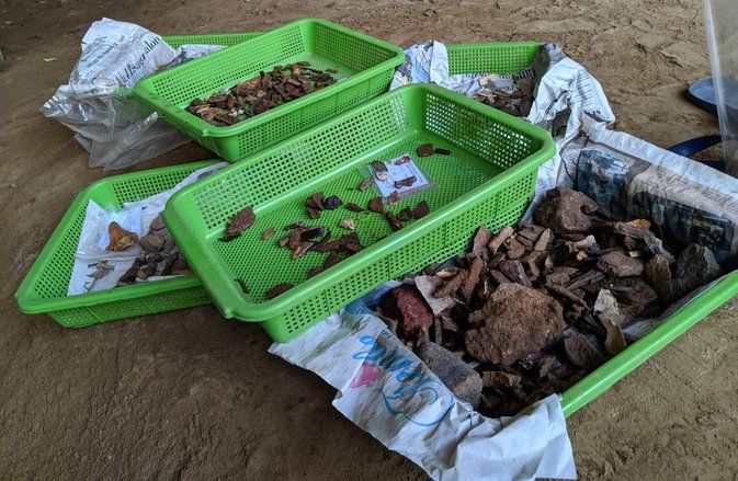 Banyak Menyimpan Perkakas Tulang Prasejarah, Gua Lowo Dijuluki <em>Bone Industry</em>