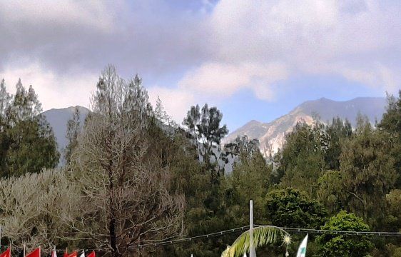 Kebakaran Hutan Gunung Ranti Meluas ke TWA Ijen, Pendakian Ditutup