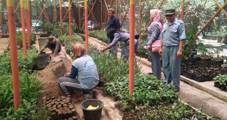 Mini Agrowisata, Kebun Buah dan Sayur di Dalam Kota Surabaya