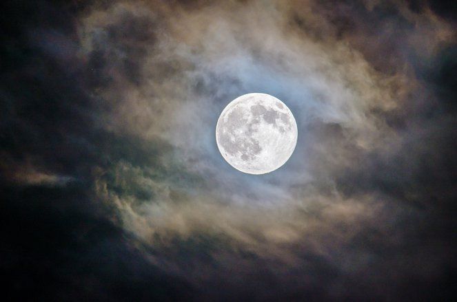 Akan Mendarat di Bulan 2024, Bezos Perkenalkan Replika Pesawatnya