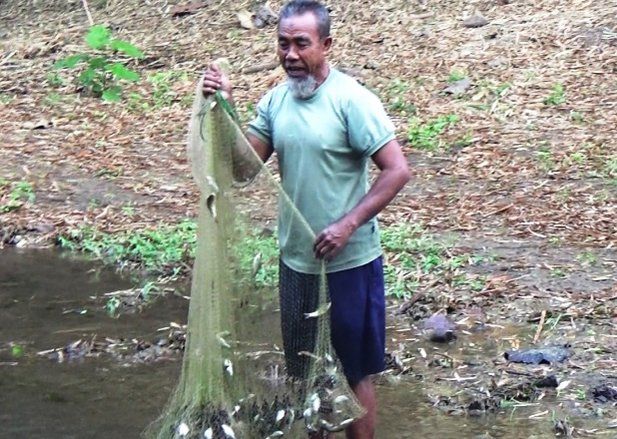 Ikan Mati Massal di Blitar Diduga Karena Limbah Pabrik Gula RMI