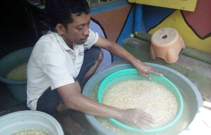 Tempe Jarwo yang Digemari Wali Kota Risma