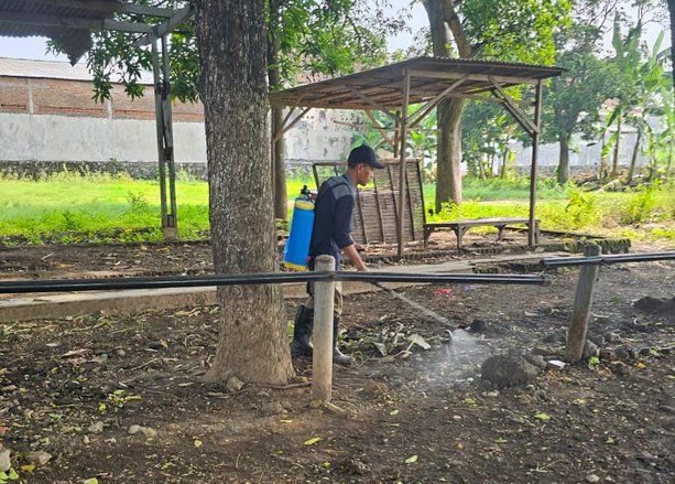 Cegah Penyebaran PMK, Disperta Probolinggo Gencarkan Disinfeksi Pasar Hewan