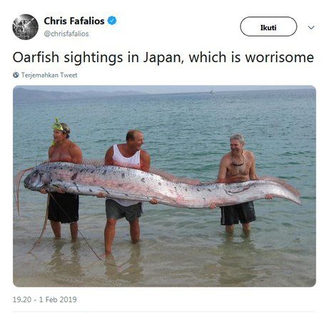 Oarfish Muncul ke Permukaan Dipercaya Pembawa Pesan Bencana